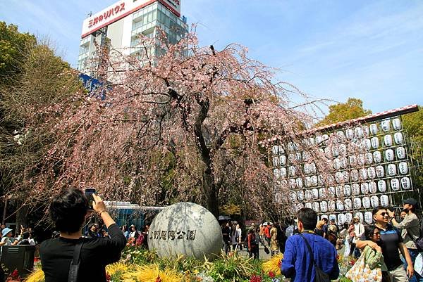 上野恩賜公園賞櫻行.JPG