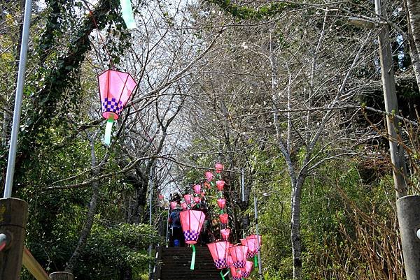 飯山白山森林公園賞櫻行-33.JPG