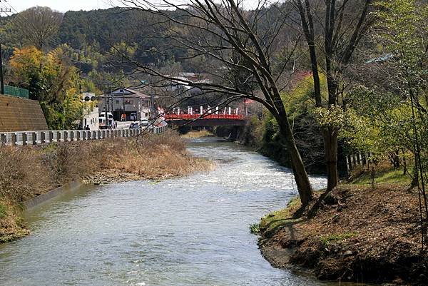 飯山白山森林公園賞櫻行.JPG