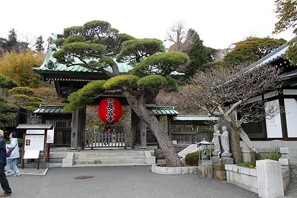 鎌倉長谷寺-1.JPG