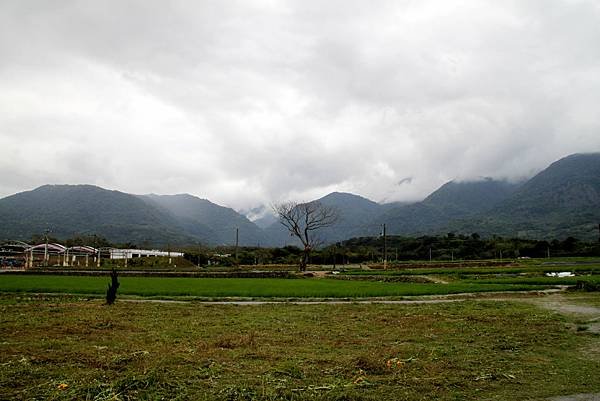 花蓮富里稻草藝術節-2.JPG