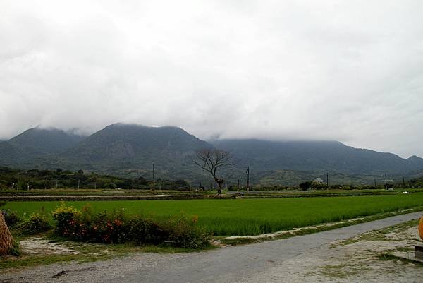 花蓮富里稻草藝術節-4.JPG