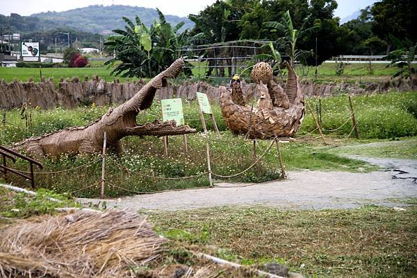 花蓮富里稻草藝術節-17.JPG