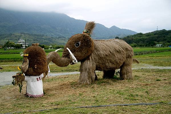 花蓮富里稻草藝術節-18.JPG