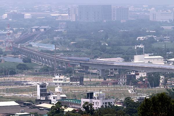 五酒桶山賞桐行-44.JPG