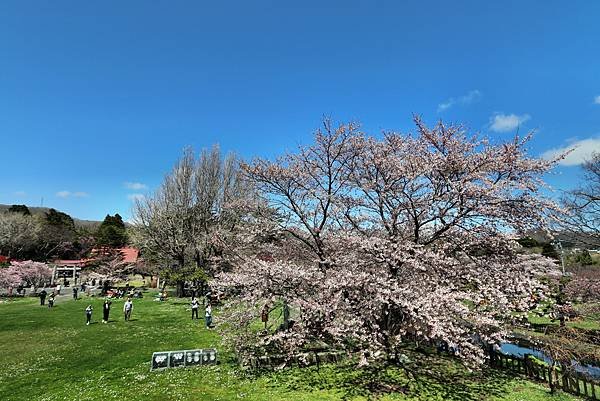 松前城-8.JPG