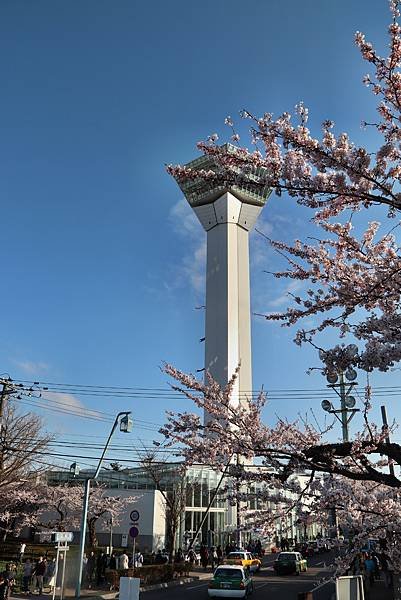 五稜郭公園-32.JPG