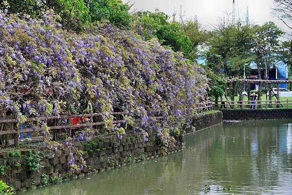 龜山大湖公園之旅-11.JPG