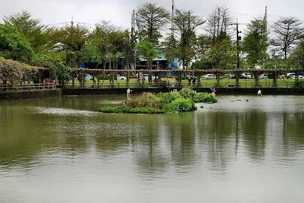 龜山大湖公園之旅-14.JPG