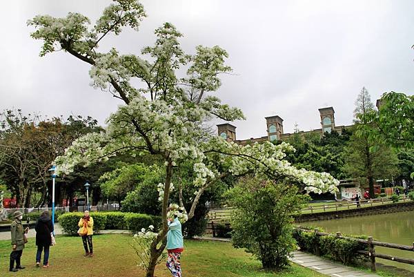 龜山大湖公園之旅-20.JPG