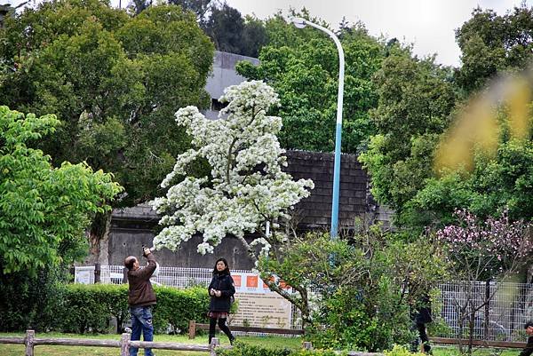 龜山大湖公園之旅-37.JPG