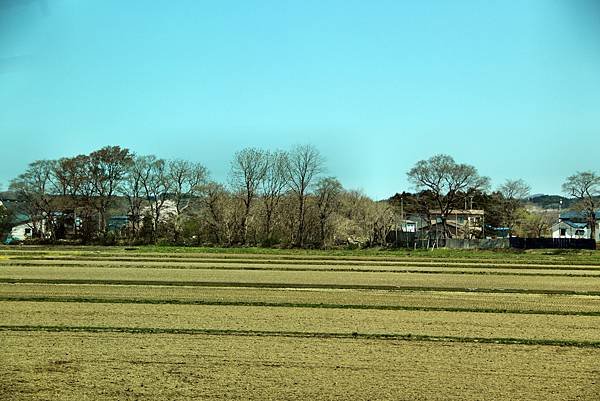 輕津半島公路風光-16.JPG