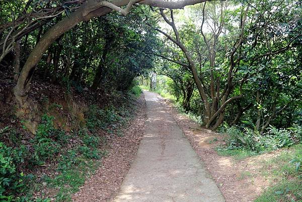 太極拳五酒桶山半日遊-14.JPG