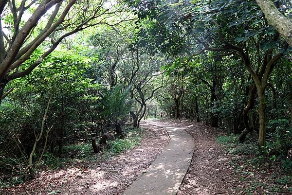 太極拳五酒桶山半日遊-19.JPG