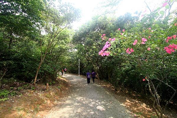 太極拳五酒桶山半日遊-32.JPG