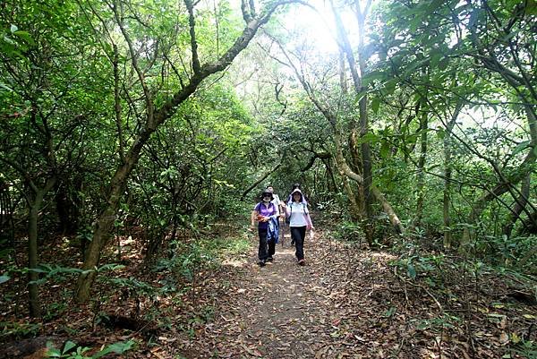 太極拳五酒桶山半日遊-37.JPG