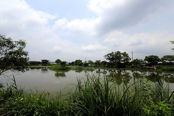 大溪十一指古道踏青-5.JPG