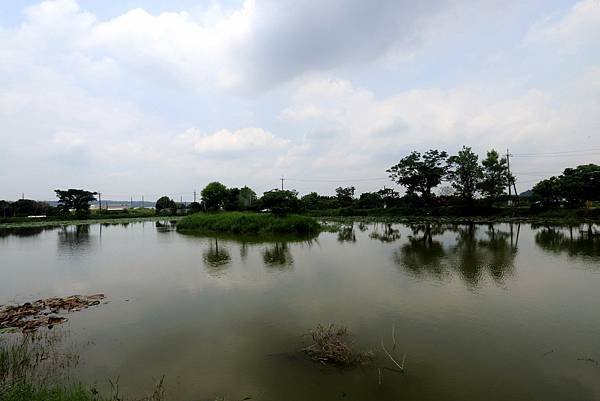 大溪十一指古道踏青-4.JPG