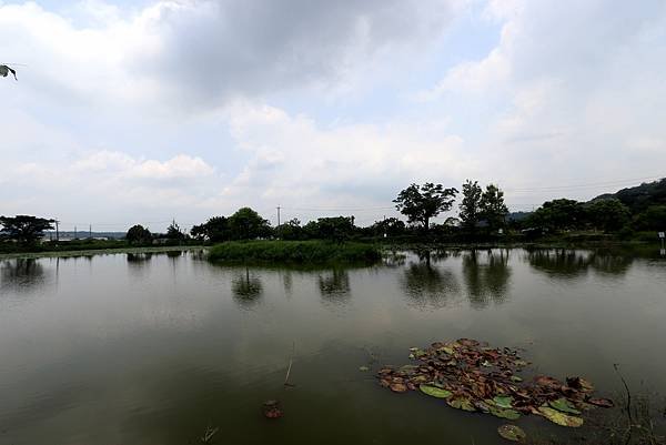 大溪十一指古道踏青-3.JPG