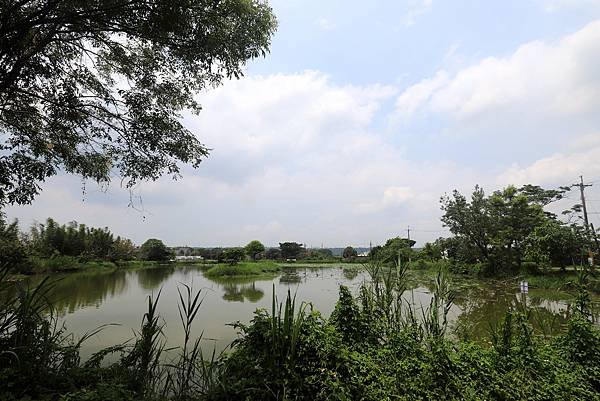大溪十一指古道踏青-6.JPG