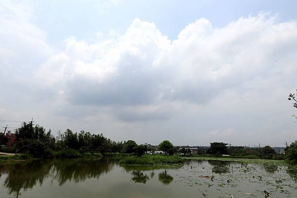 大溪十一指古道踏青-7.JPG