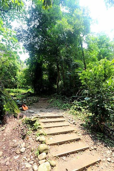 大溪十一指古道踏青-11.JPG