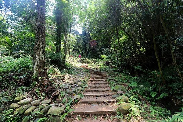 大溪十一指古道踏青-15.JPG