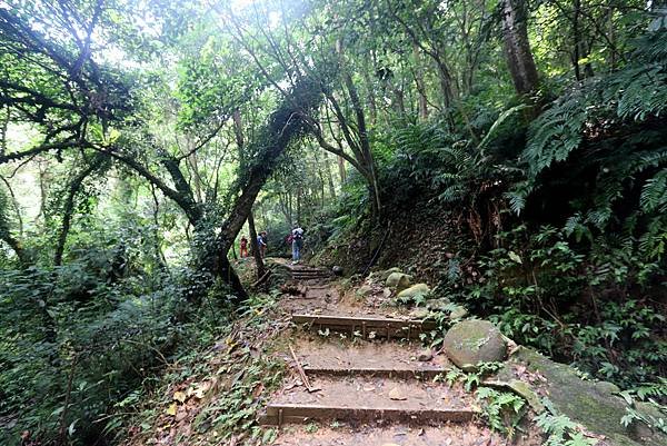 大溪十一指古道踏青-17.JPG