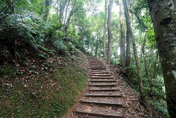 大溪十一指古道踏青-18.JPG