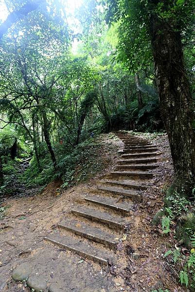 大溪十一指古道踏青-16.JPG