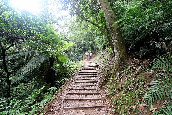 大溪十一指古道踏青-21.JPG