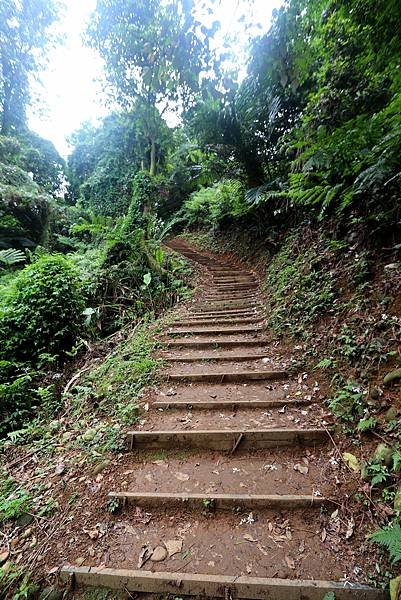 大溪十一指古道踏青-24.JPG