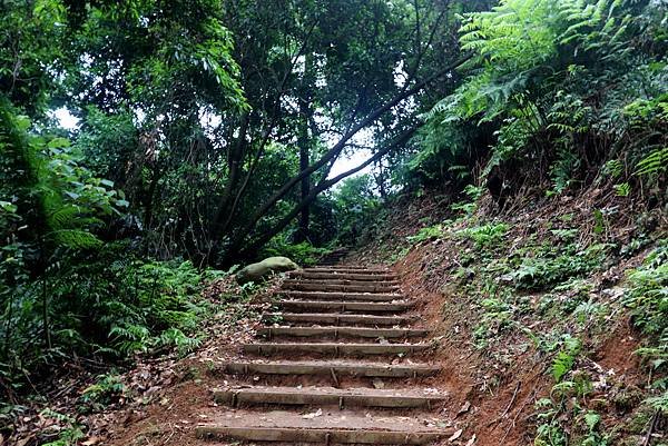 大溪十一指古道踏青-25.JPG
