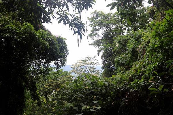 大溪十一指古道踏青-28.JPG