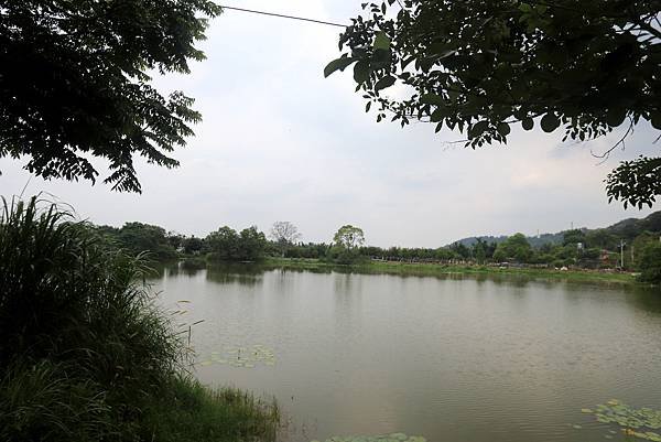 大溪十一指古道踏青-29.JPG