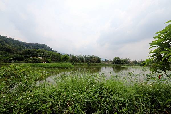 大溪十一指古道踏青-32.JPG