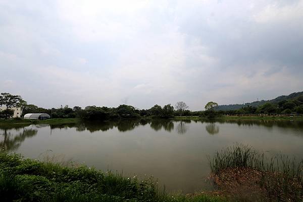大溪十一指古道踏青-31.JPG