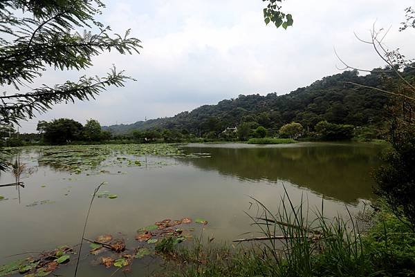 大溪十一指古道踏青-35.JPG