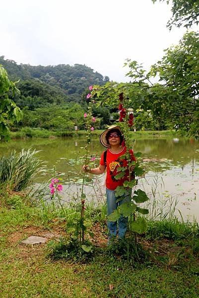 大溪十一指古道踏青-46.JPG