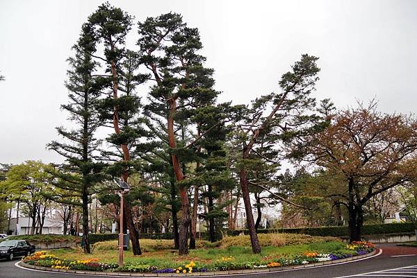 信州花博-1.JPG