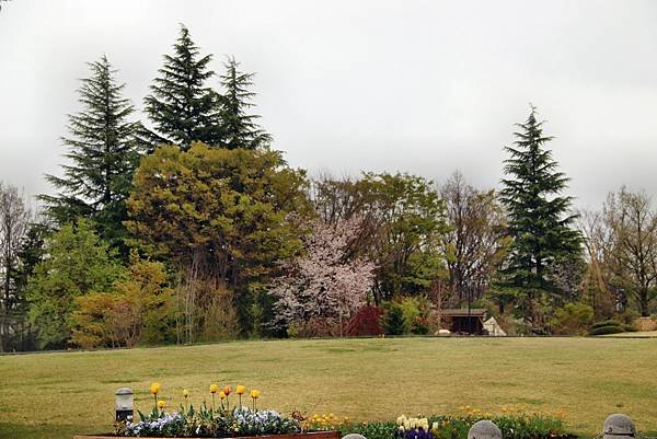 信州花博-3.JPG