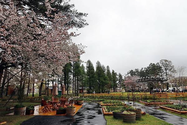 信州花博-14.JPG