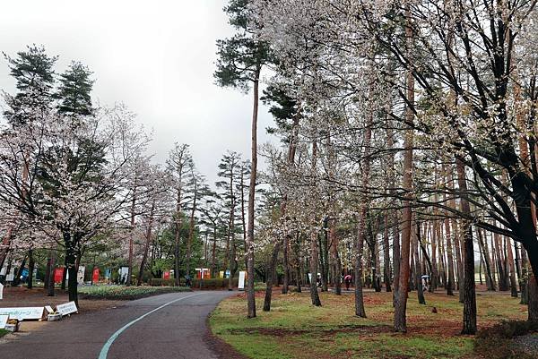 信州花博-18.JPG