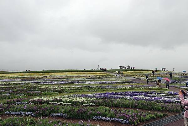 信州花博-20.JPG
