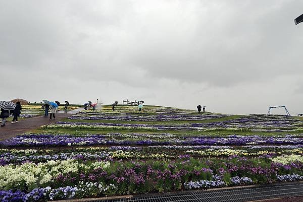 信州花博-21.JPG