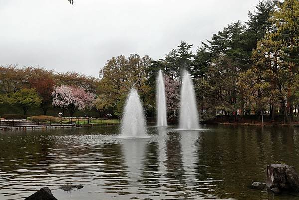 信州花博-26.JPG
