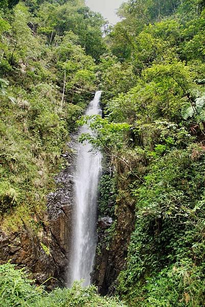 武界旅遊-17.JPG