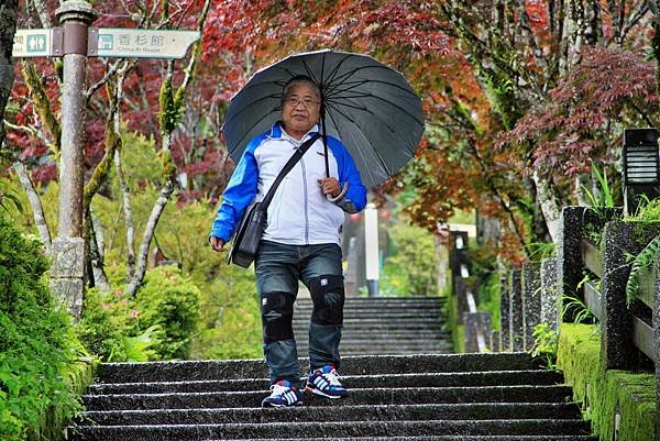 太平山之旅-50.JPG