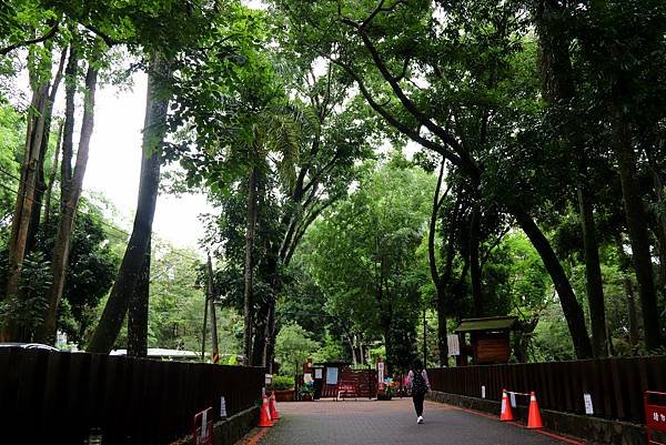 台大熱帶植物園-1.JPG