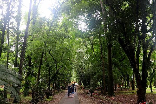 台大熱帶植物園-6.JPG